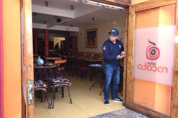 Estudios seguridad humana