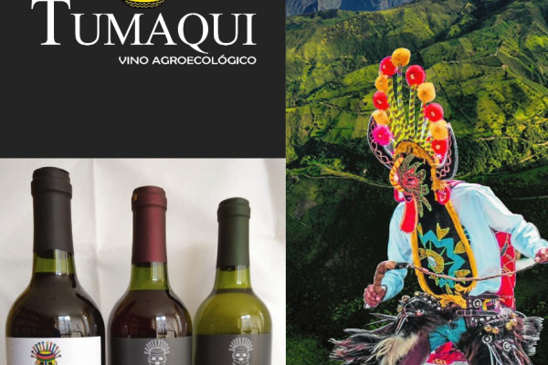 VINOS FRUTALES TUMAQUI
