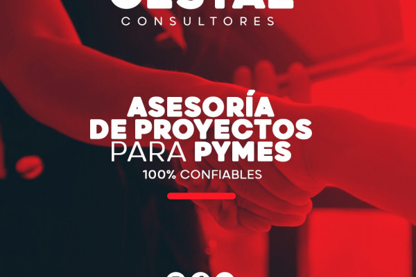 Asesoría de Proyectos